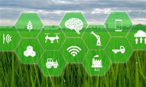 农业大数据行业行业发展规划 农业大数据行业全景调研及发展方向
