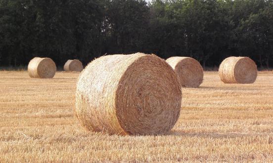 2023秸秆饲料行业供需趋势及市场现状分析