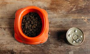 宠物罐头市场需求与宠物罐头行业发展形势分析2023