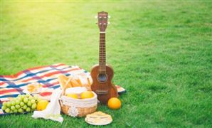 吉他行业市场供需格局分析 吉他市场全面调研