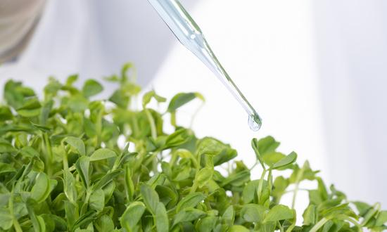 食品安全大数据市场调研 2023食品安全大数据行业前景及现状分析