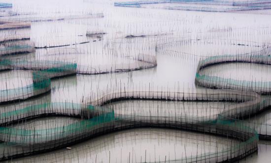 2023海洋农业行业前景及现状分析报告