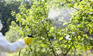 草甘膦行业市场驱动因素 草甘膦行业投资前景