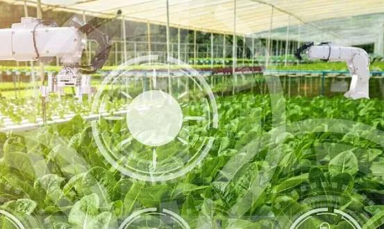 农业生物技术市场格局 生物农业技术行业发展前景及投资分析