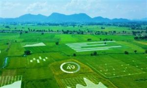 农业建设行业发展趋势 农村建设行业全景调研及投资分析