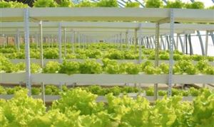 2023农业循环经济行业发展展望 农业循环经济行业投资前景及趋势分析