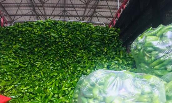 农业批发行业未来发展方向 农业批发行业发展前景趋势分析