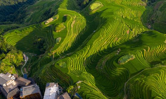 中国特色农业旅游行业消费现状 特色农业旅游行业发展趋势预测