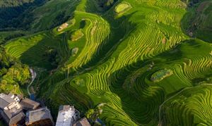 中国特色农业旅游行业消费现状 特色农业旅游行业发展趋势预测