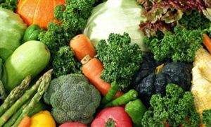 绿色食品电子商务行业市场竞争 绿色食品电子商务行业市场调查及投资建议分析