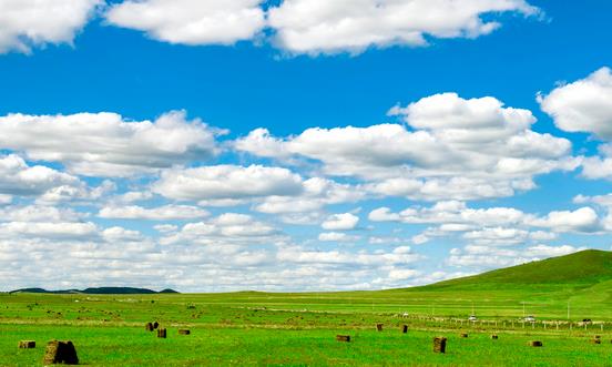 牧草饲料行业市场需求 2023牧草饲料产业经营模式分析