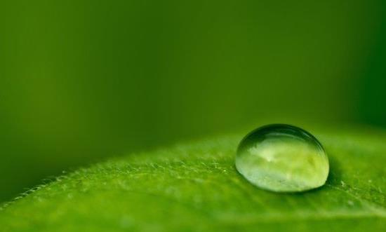 绿色生态行业发展环境 绿色生态行业市场投资前景规划分析