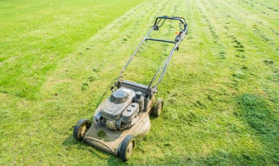 2023割草机行业进出口市场情况及行业发展趋势