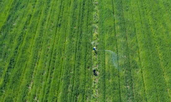 2023生态养殖行业全景调研 生态养殖投资前景分析