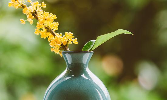 2023花卉艺术行业 花卉艺术市场占有情况分析