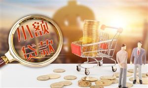 2月LPR公布 互联网贷款行业市场深度调研及投资策略预测报告