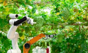 智能农业发展分析 智能农业发展趋势分析