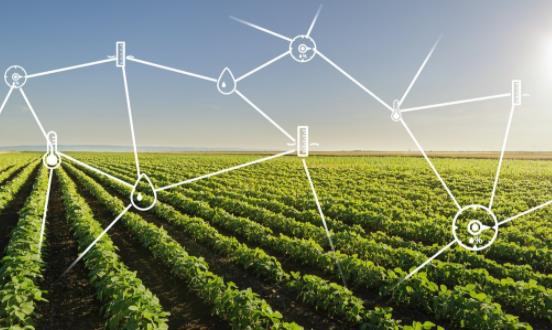 农业物联网行业市场调研 农业物联网行业发展机遇