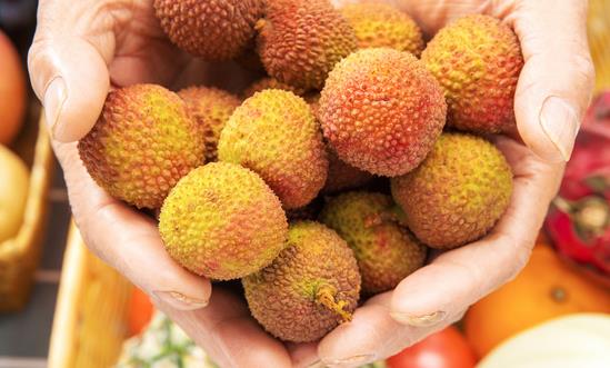 2023中国农产品物流行业市场规模 农产品物流行业市场发展前景分析