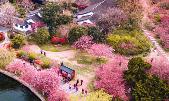 2-3月赏花类度假产品预订量同比暴增880% 多个赏花目的地启动春日旅游活动