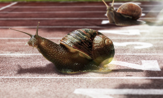 蜗牛养殖行业市场需求 蜗牛养殖行业前景如何