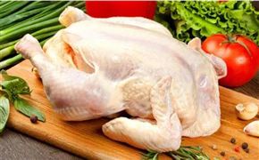 肉鸡苗市场呈现供不应求的状态 2023国内肉鸡养殖市场需求格局