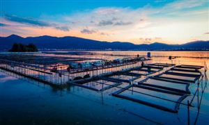 中国海洋渔业市场运行现状深度分析2023