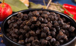 2023豆豉制品行业市场投资风险预测分析