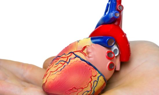 2023人工肺行业市场投资风险预测 市场规模将突破8000亿元