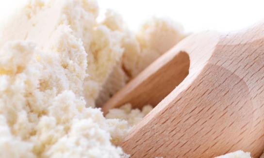 2023年中国乳清粉行业发展前景分析