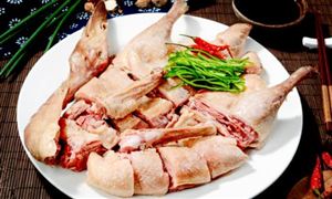 肉鸭行业市场发展现状调查及产业链分析2023