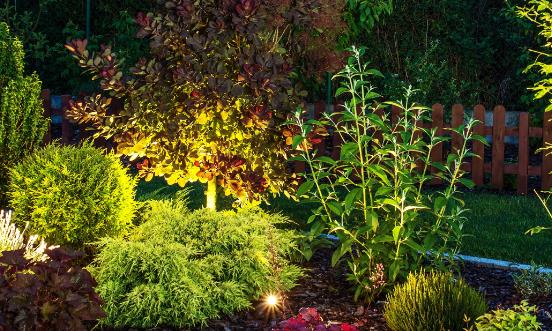 中国园林工程行业发展趋势 中国园林工程行业发展前景预测