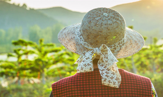 帽子行业市场消费趋势洞察及发展前景2023