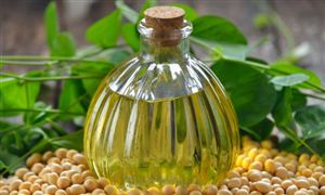 大豆油市场深度分析 中国大豆油市场产销现状分析2023