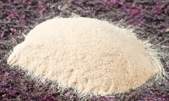 成核剂行业市场未来发展方向及进出口情况分析2023