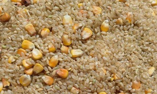 饲料行业市场格局分析 混合饲料行业发展前景及产业链