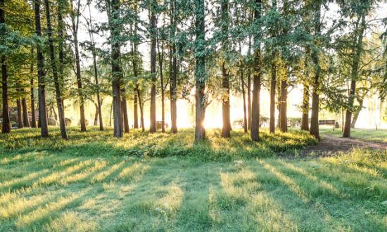 2023城市环保市场前瞻 城市环保行业的投资商机分析