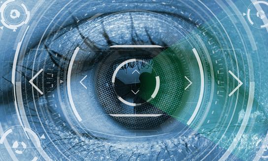 2023生物识别软件行业市场投资风险分析