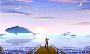 国产动画行业市场竞争格局及行业发展现状调研