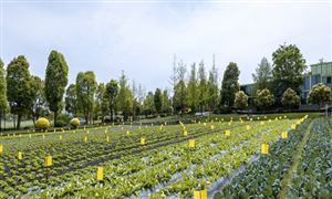 中国智慧农业技术推广案例与发展前景