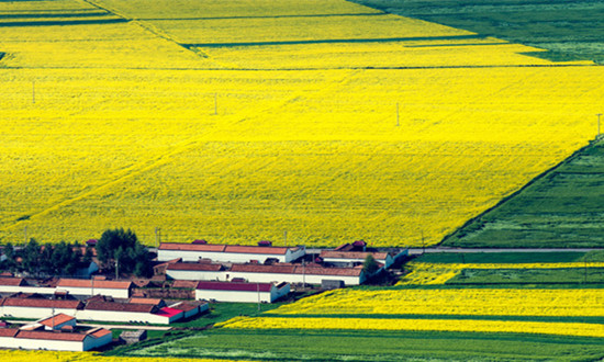 农业数字化行业市场前瞻 农业数字化行业未来投资战略