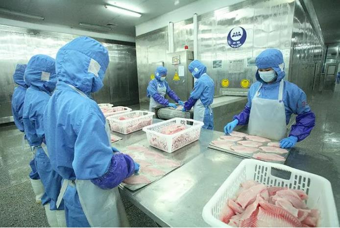 湛江打造中国水产预制菜之都 2023水产品加工业高质量发展路径