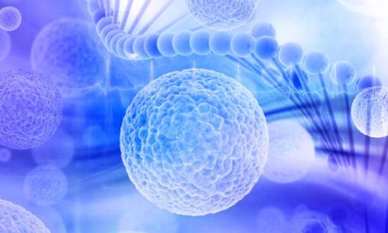 全球细胞治疗产业发展正进入快车道 细胞免疫治疗行业投资潜力