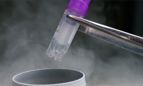 2023年中国冷冻技术行业市场投资价值评估