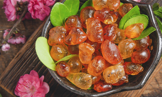 桃胶深加工现状 桃胶行业发展前景分析