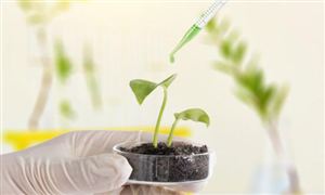 生物菌肥行业供需现状及未来市场规模预测
