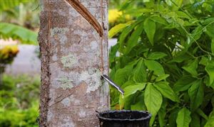 碳酸二甲酯(DMC)行业发展机遇 碳酸二甲酯(DMC)行业市场需求及投资分析