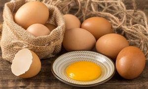 2023鸡蛋市场供需格局预测分析