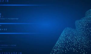 中国数字政府建设行业发展现状 中国数字政府建设行业市场份额分析