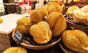 2023榴莲市场供需现状及深加工产品分析